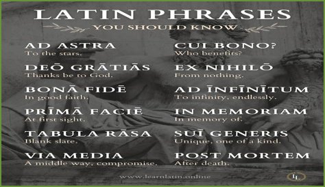 A Profile Of A Latin Beauty