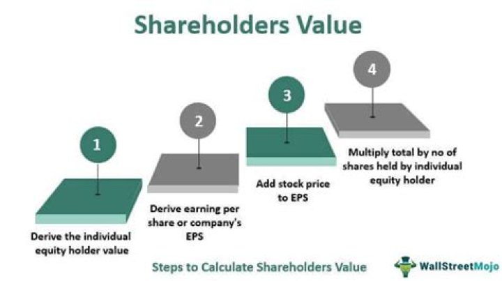 How do you maximize shareholders profit?
