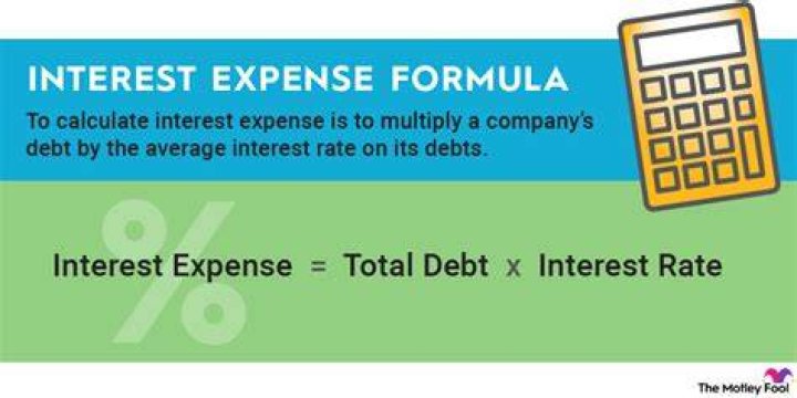 How does interest expense affect assets?