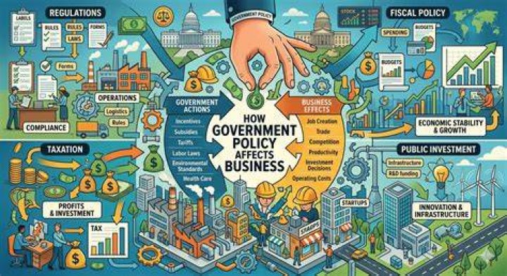 How is the government affected by a business?