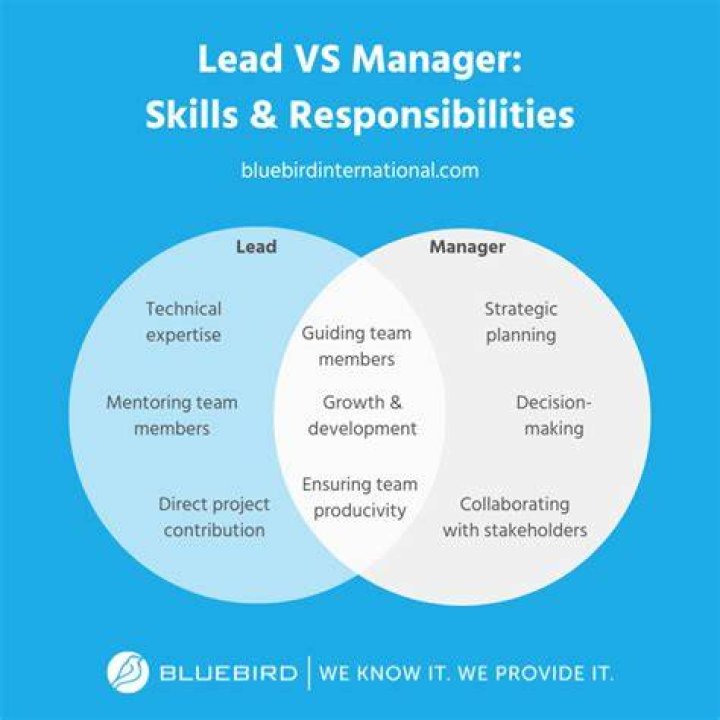 Is Lead higher than manager?