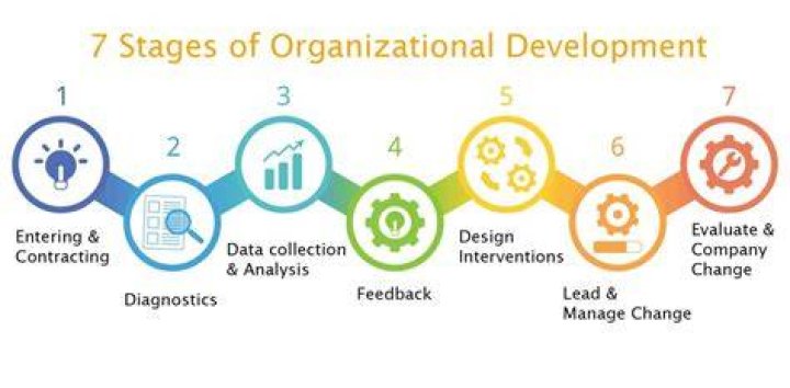 What are organizational development practitioners?