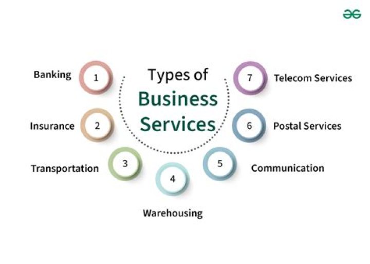 What are the 4 types of business services?