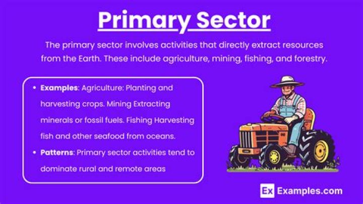 What are the changes in primary sector?