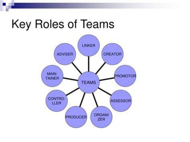 What are the main roles within a team?