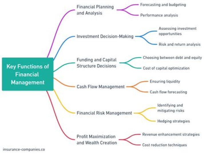 What are the rules and functions of a financial manager?