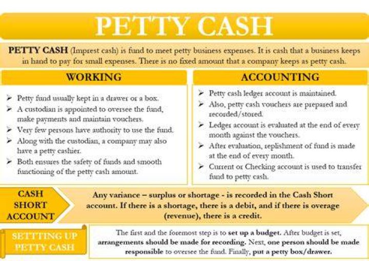 What does petty cash fall under?