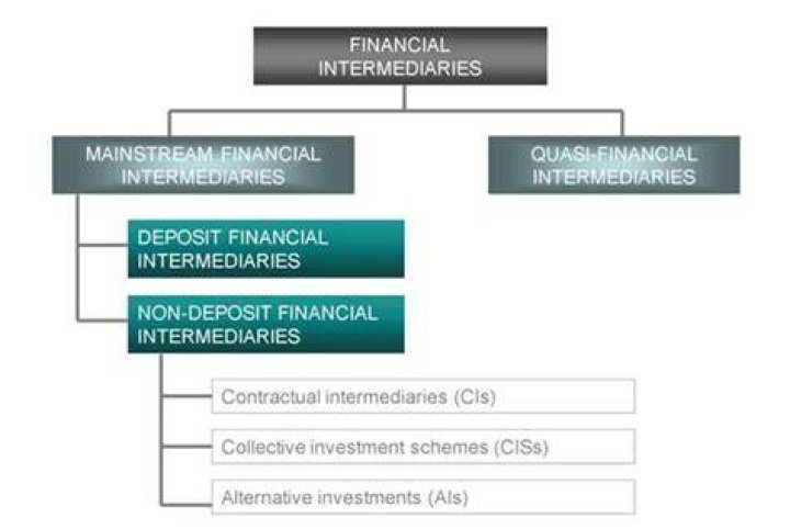 What is quasi financial intermediaries?