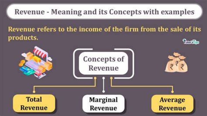 Whats is the meaning of revenue?